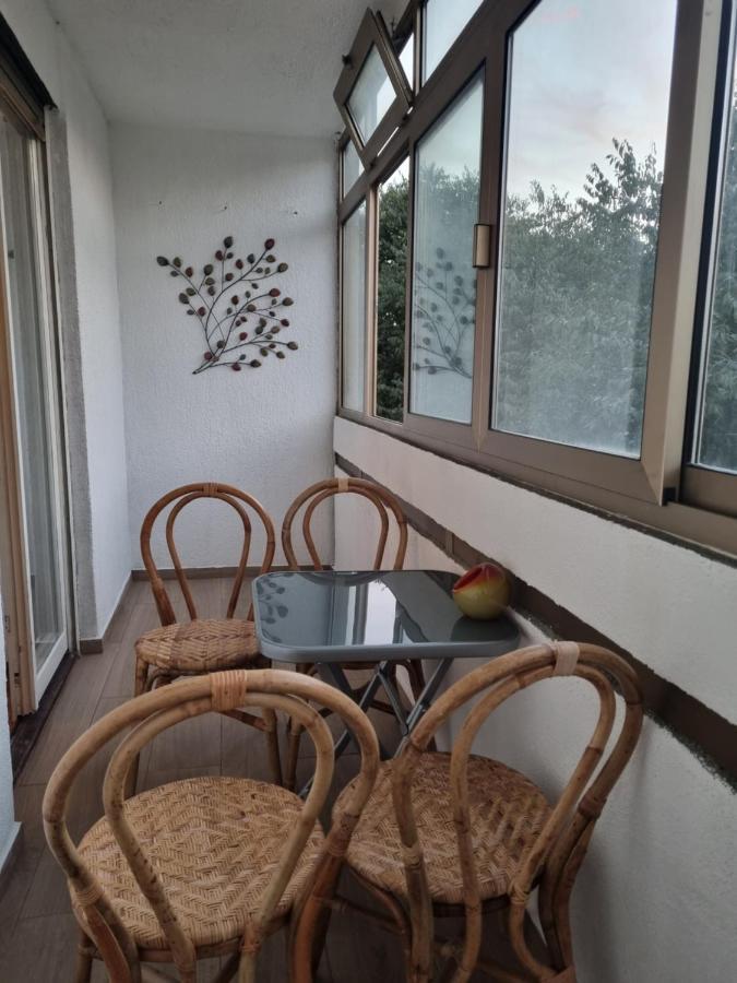 Apartment Roza